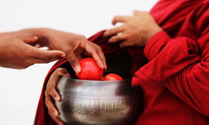 Offering Image
